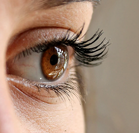 entry level accreditation success