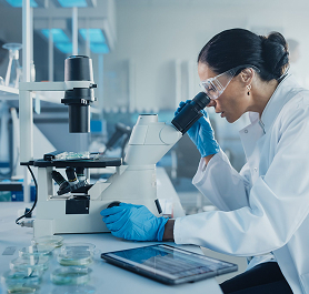 healthcare quality systems implementation